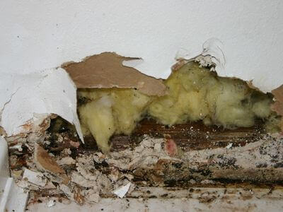 About Water Damage Restoration Gunter - water damage restoration experts in Gunter, Celina